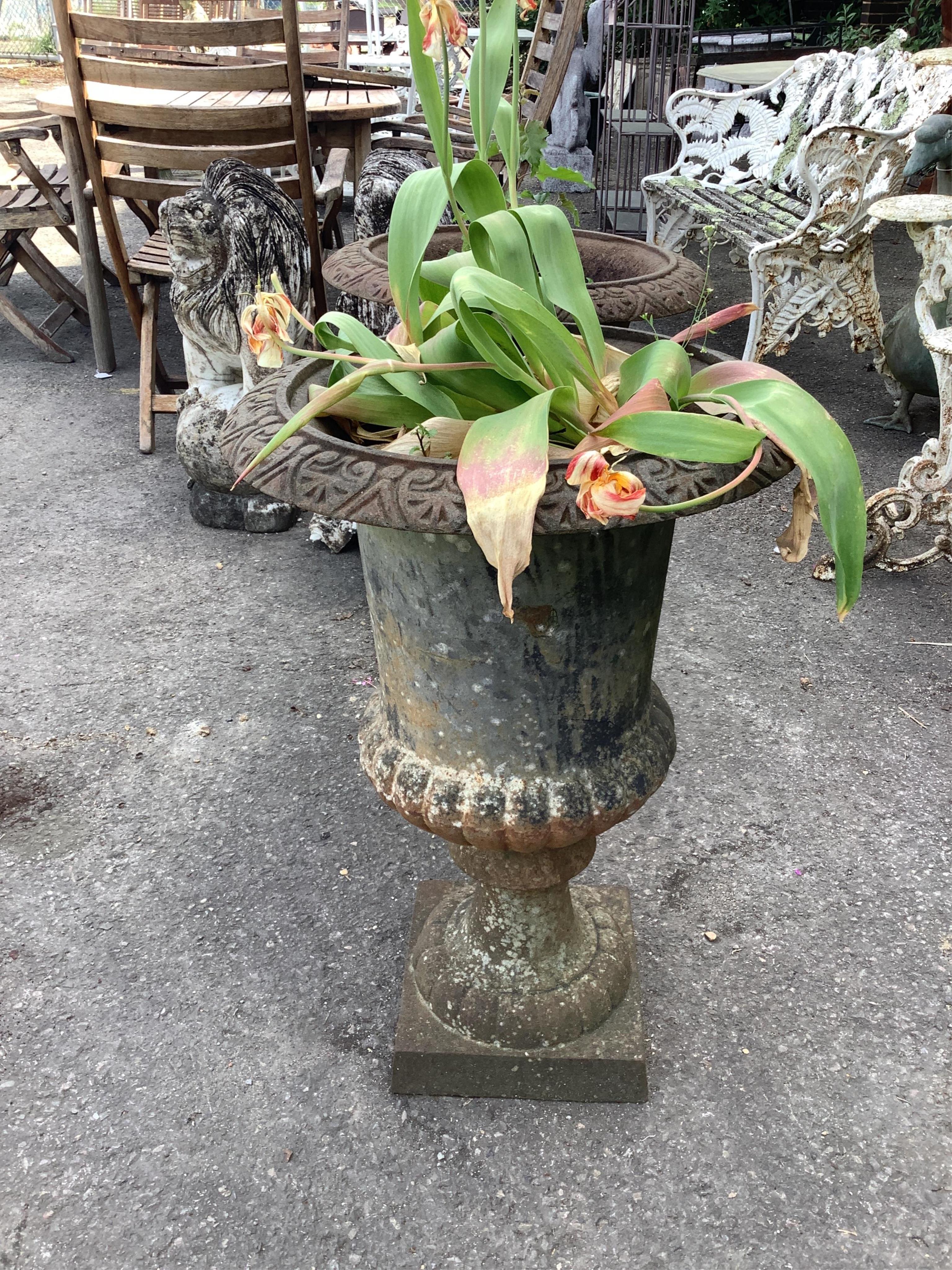 A pair of Victorian style cast iron campana garden urns, diameter 48cm, height 70cm